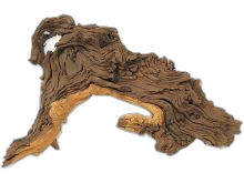 Equipamiento de acuarios