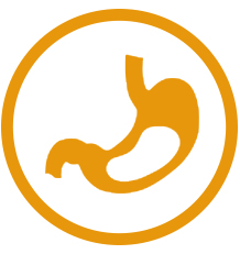 Para una digestión sensible